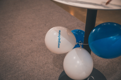 Digital-Leaders-Summit_Megaphone-June2024_15