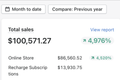 Megaphone-Real-Client-Results-1