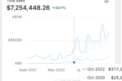 Megaphone-Real-Client-Results-15