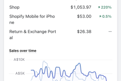 Megaphone-Real-Client-Results-18