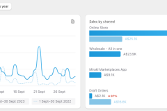 Megaphone-Real-Client-Results-23