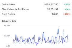 Megaphone-Real-Client-Results-27