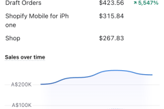 Megaphone-Real-Client-Results-33