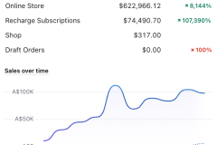 Megaphone-Real-Client-Results-7