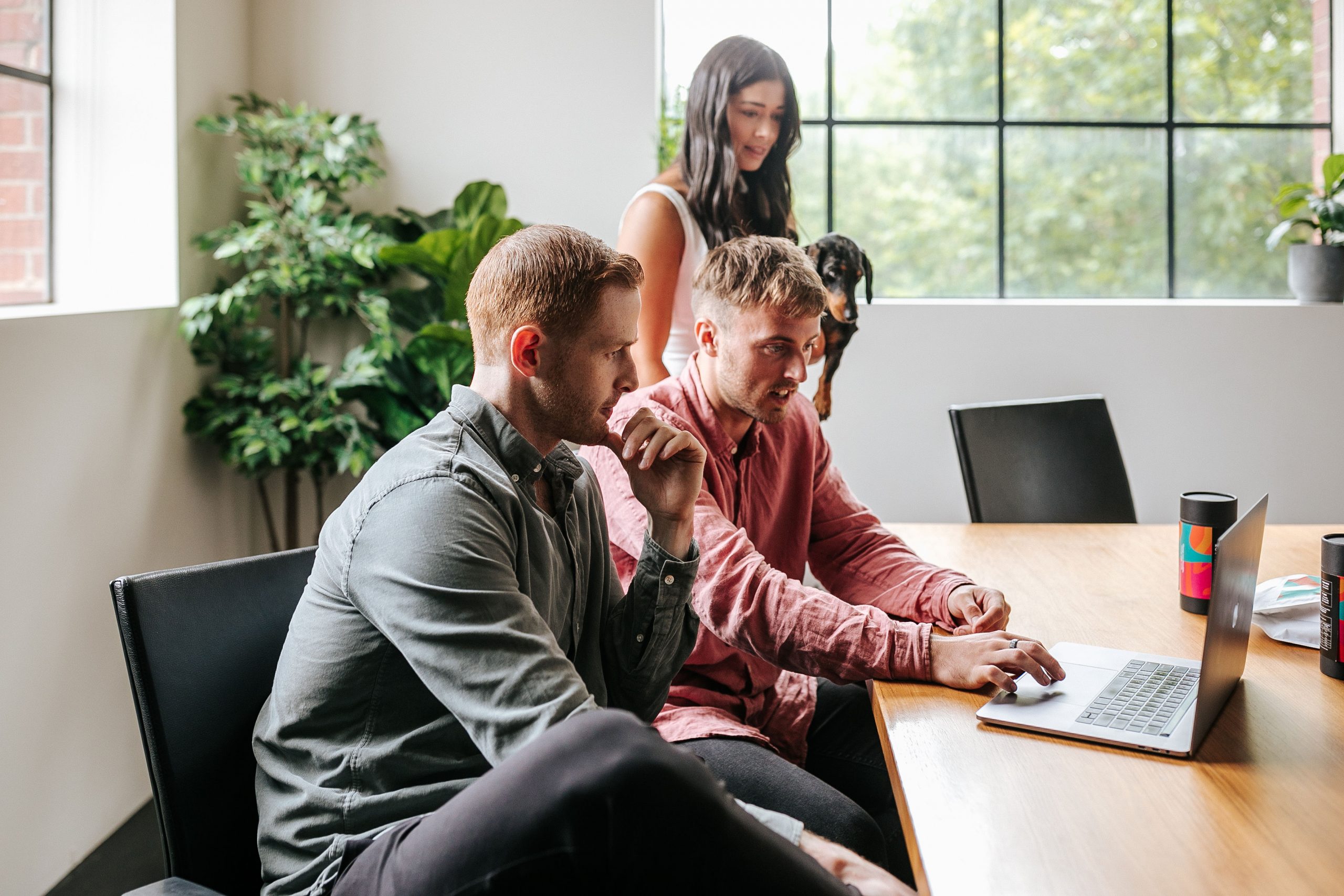 Megaphone Grow Tiktok