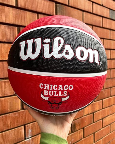 293866561 113576514750595 4470706023283119852 n