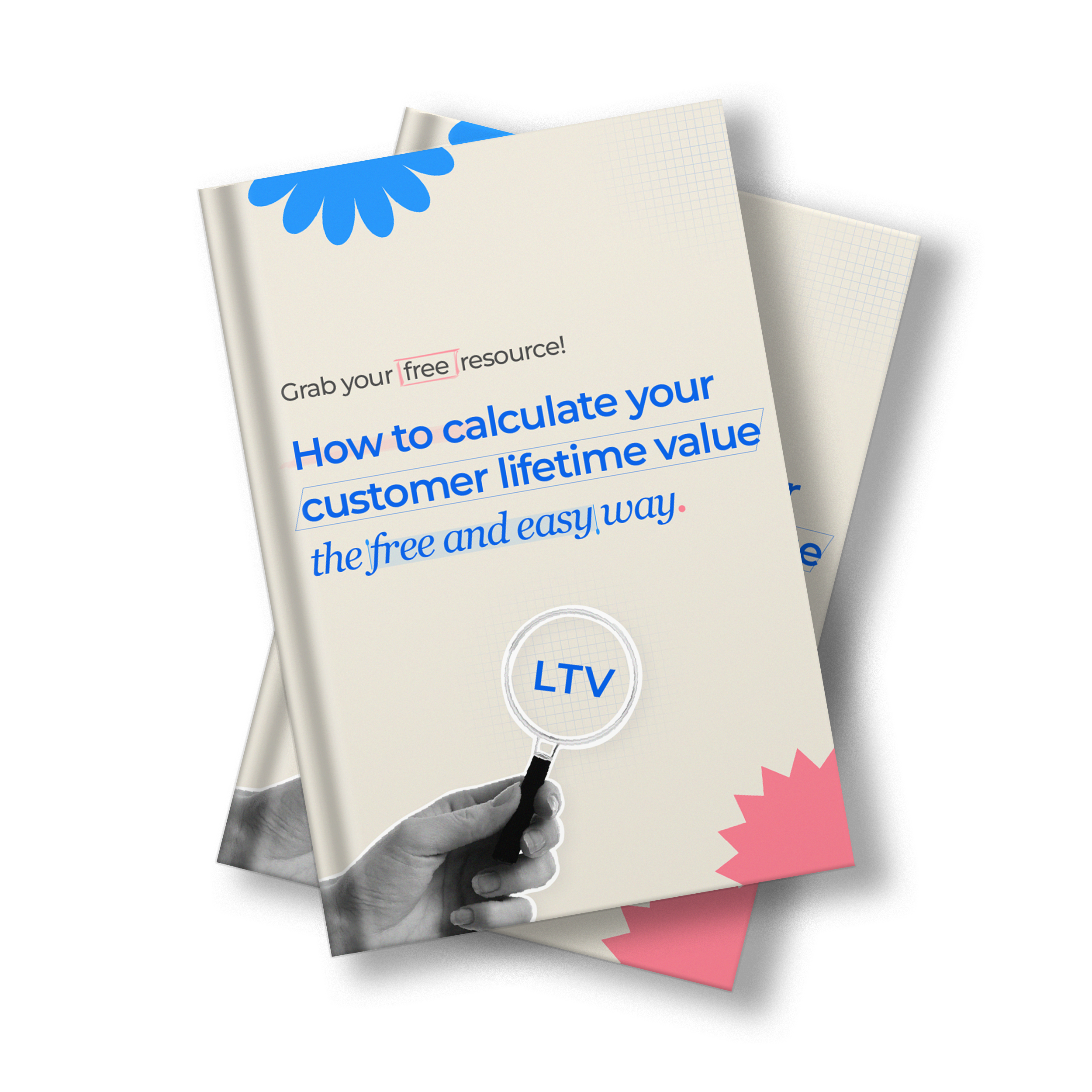 Lead Magnet Resources Ltv Mockup