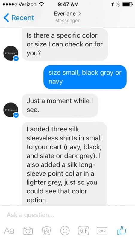 Everlane messenger 2