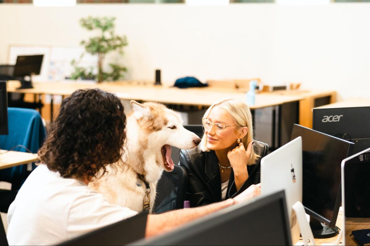 11 Winning Google Ads To Copy Analyzed By An Agency 14