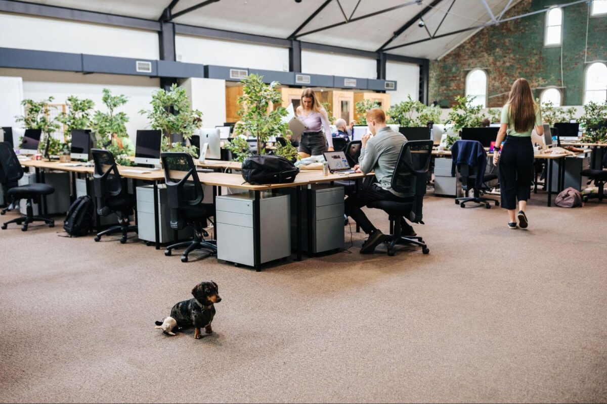 7 Facebook Ad Library Tips For Beating Your Competition 7