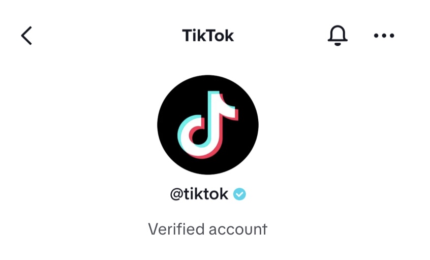 How To Get Verified On Tiktok 2022 Guide 1