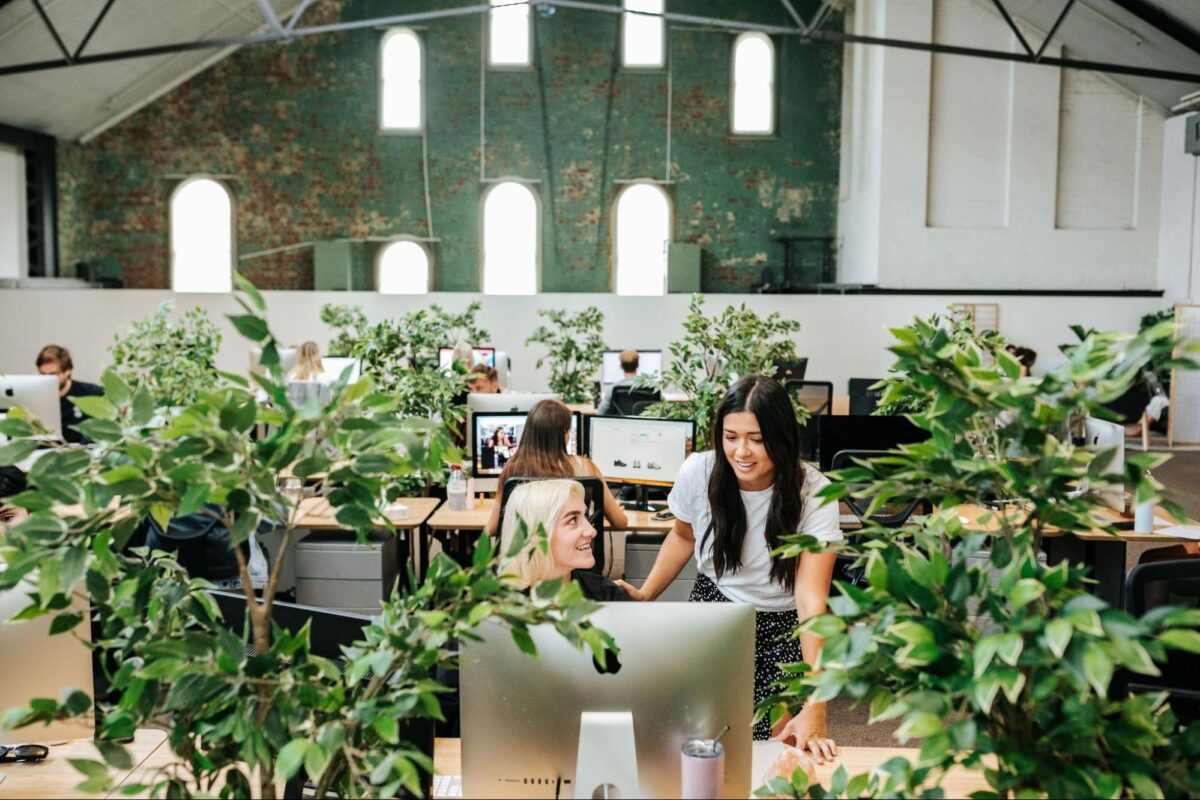 Link Gen Post Marketing Terms1