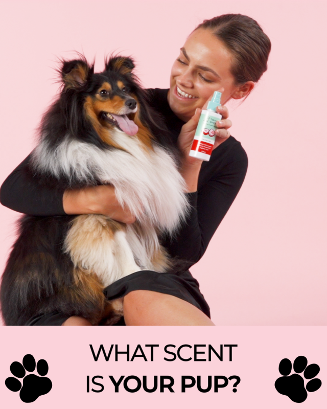 What Scent Is Your Pup