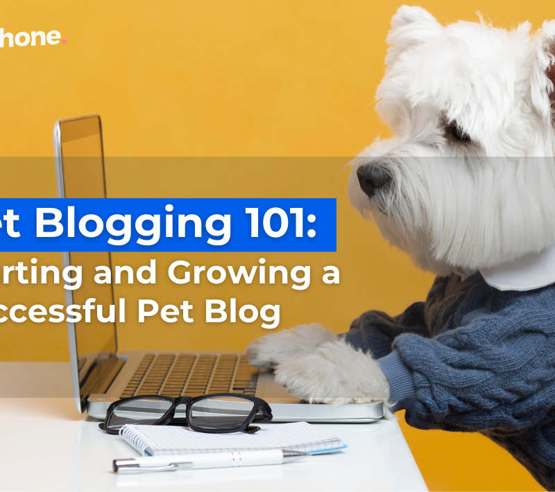 Starting And Growing A Successful Pet Blog